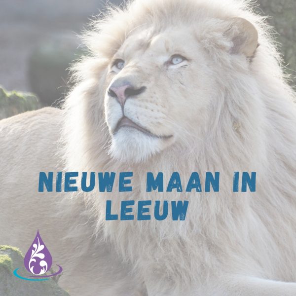 Nieuwe maan in Leeuw