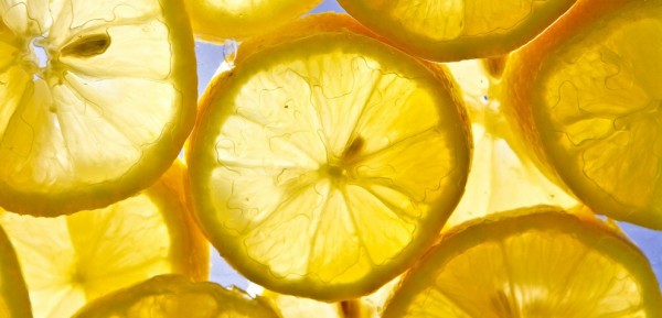 Citroen, Lemon, Citrus limon