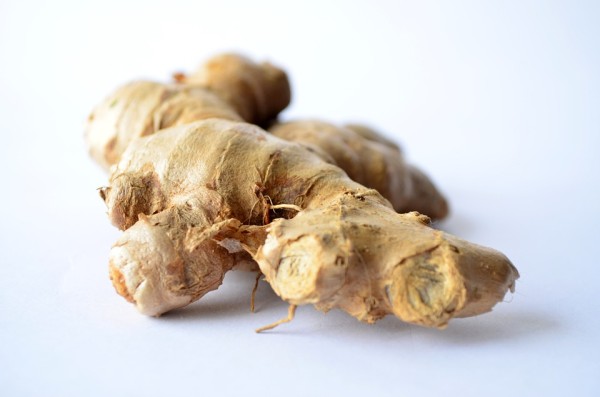 Gember – Ginger – Zingiber officinale