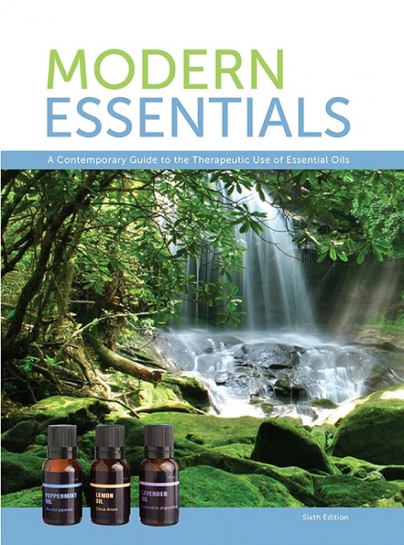 Modern Essentials boek in Nederlands