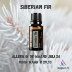 Siberian Fir - enjoil.nl