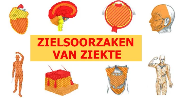 Holistisch belichten van gezondheidsuitdagingen