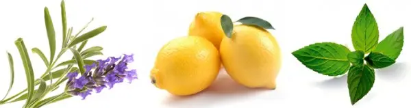 Hooikoorts of pollenallergie, op een NATUURLIJKE manier behandelen!