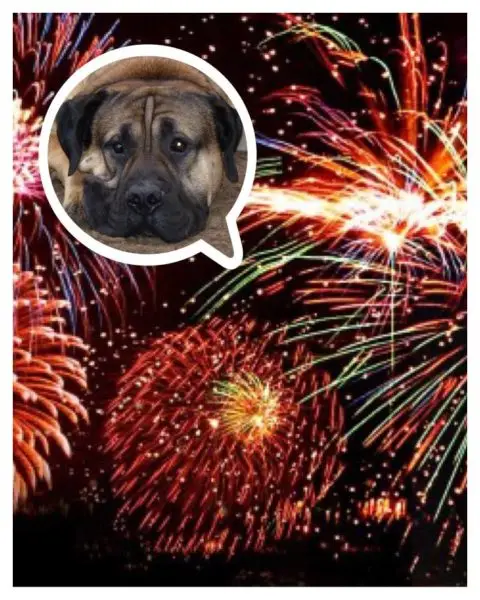 vuurwerk